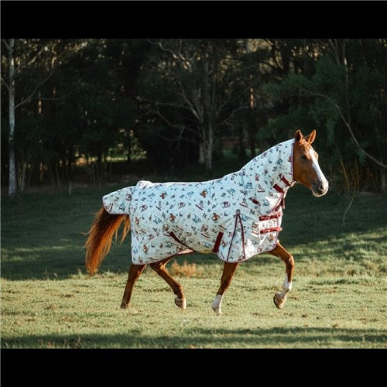 Kozy Winter Horse Rugs 5ft9 / Ski Slopes Kozy Combo 1200D Nylon