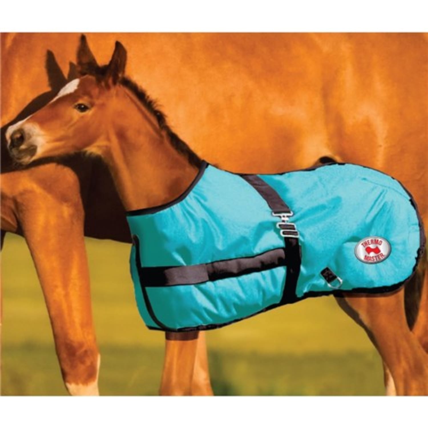 Kozy Winter Horse Rugs Teal/Black Kozy Rug Growing Foal