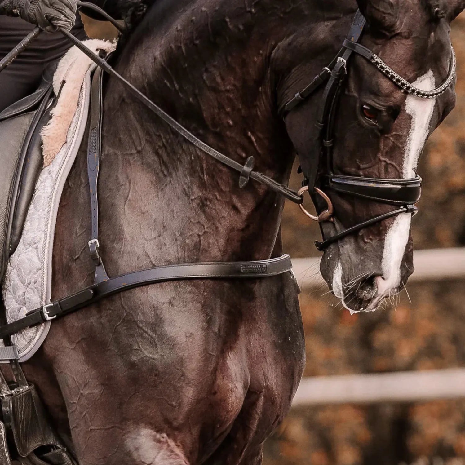 Lumiere Breastplates - Martingales Full / Black Lumiere Breastplate Alicia Dressage