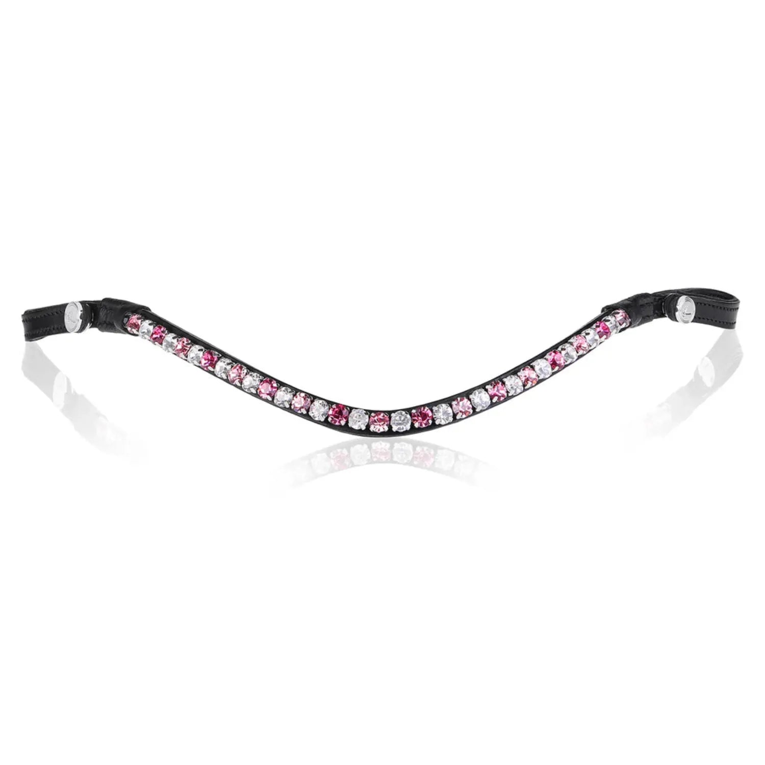 Lumiere Bridle Accessories Cob / Black Lumiere Browband Paloma