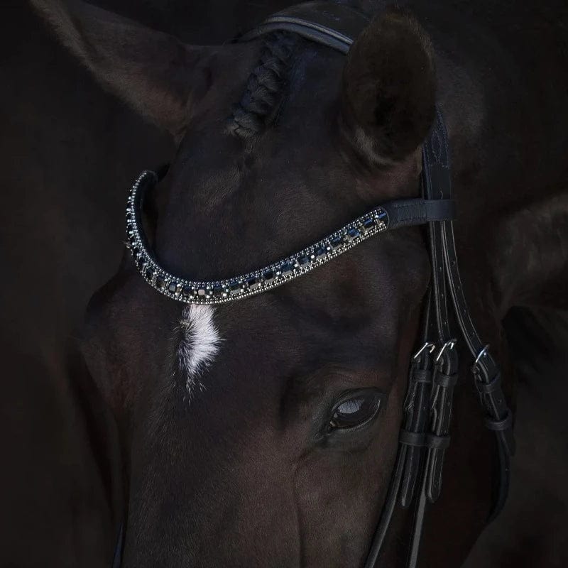 Lumiere Bridle Accessories Lumiere Onyx Crystal Browband (L6702)