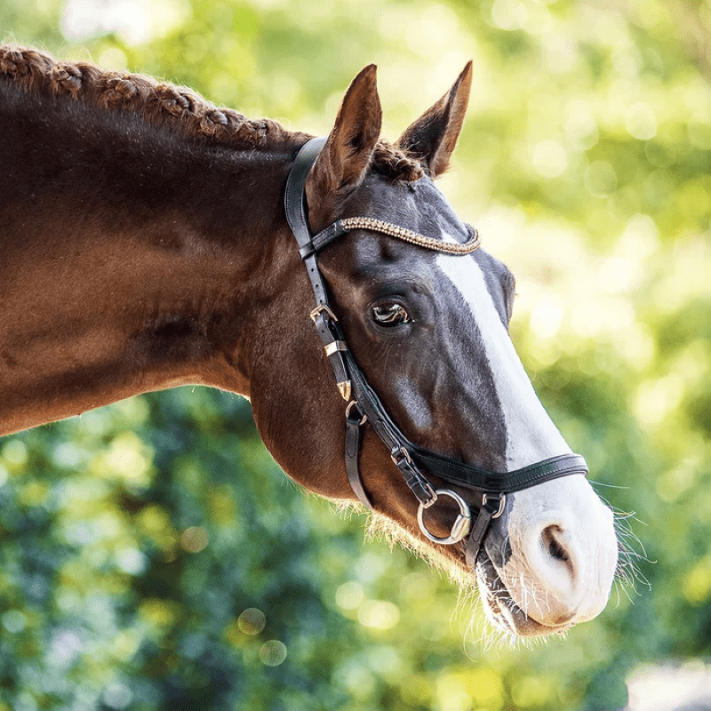 Lumiere Bridles Full / Black Lumiere Aria Bridle Micklem Style (L2101)
