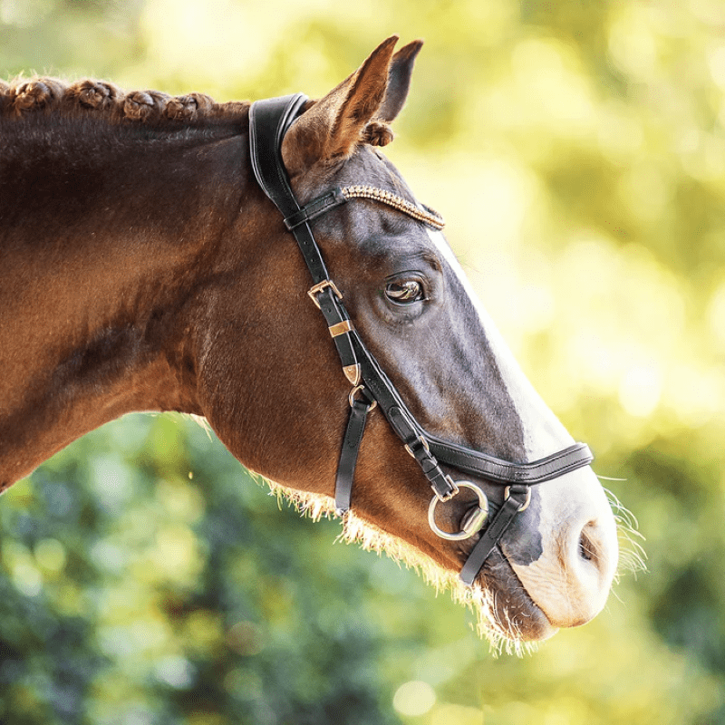 Lumiere Bridles Full / Black Lumiere Aria Bridle Micklem Style (L2101)