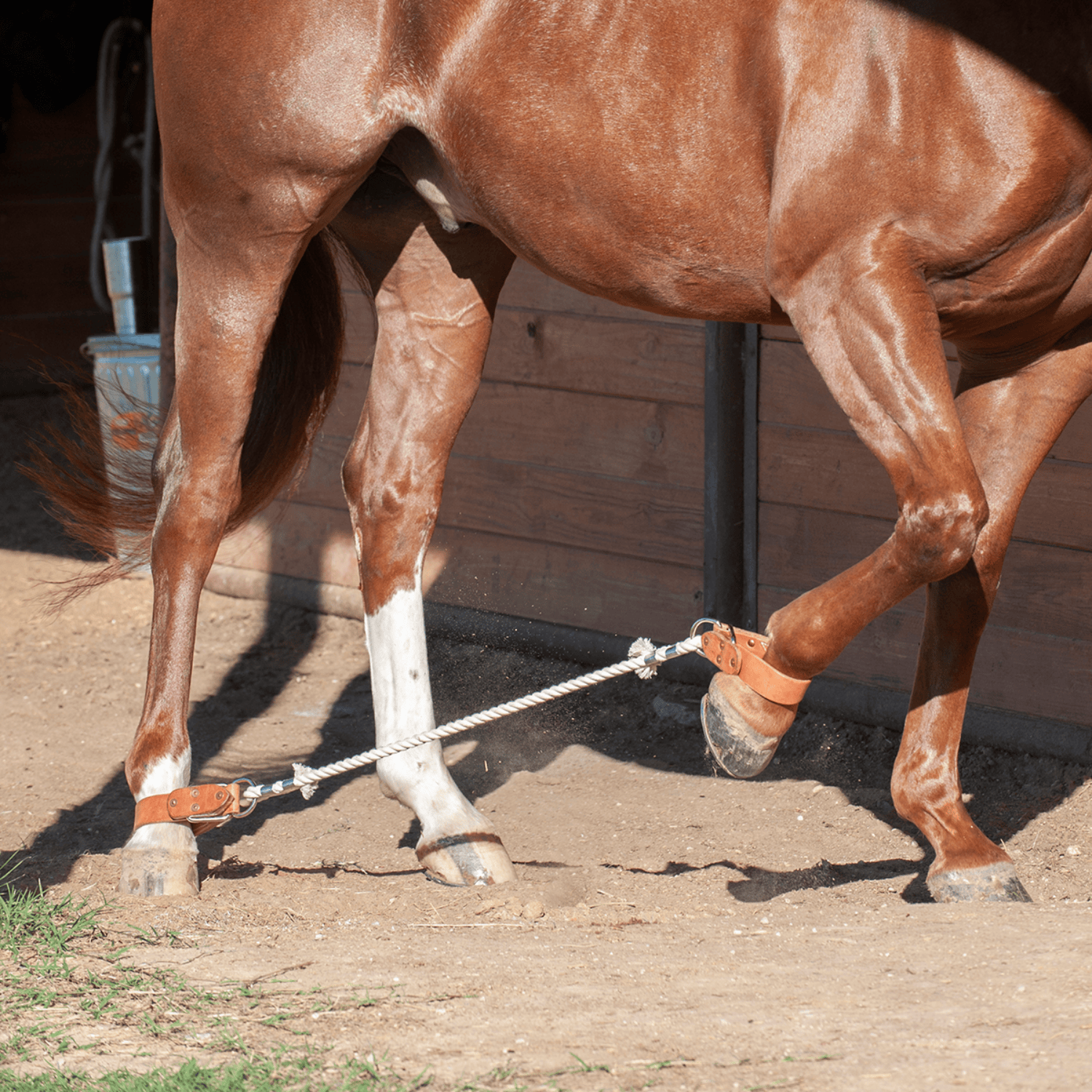 Martins Saddlery Training Equipment Sideline Hobbles