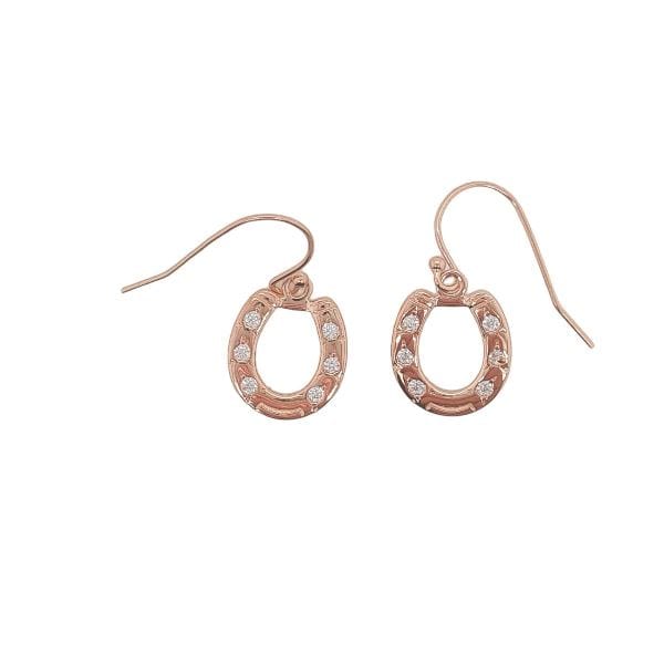 MCJ Jewellery Earrings ER0520 SS & Rose Gold Plated CZ Drop HSH