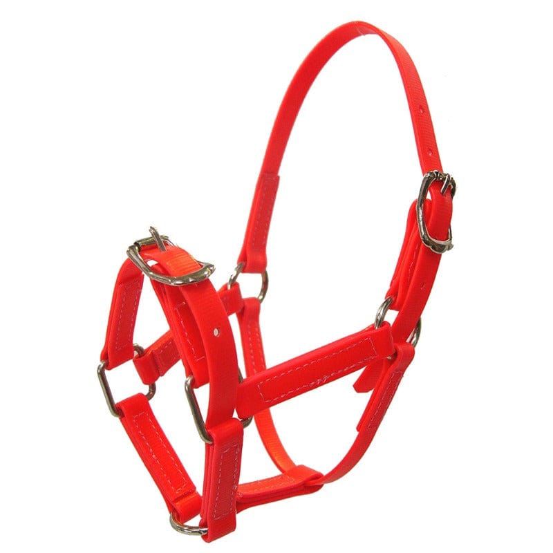 NC Equine Halters S / Red PVC Mini Halter (18730)