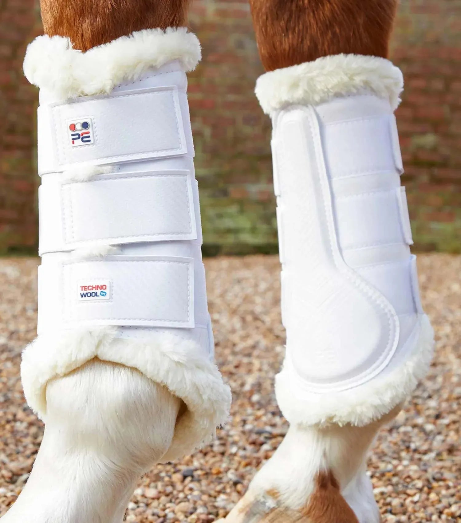 Premier Equine Horse Boots - Bandages L / White Premier Equine Techno Wool Brushing Boots (1038)