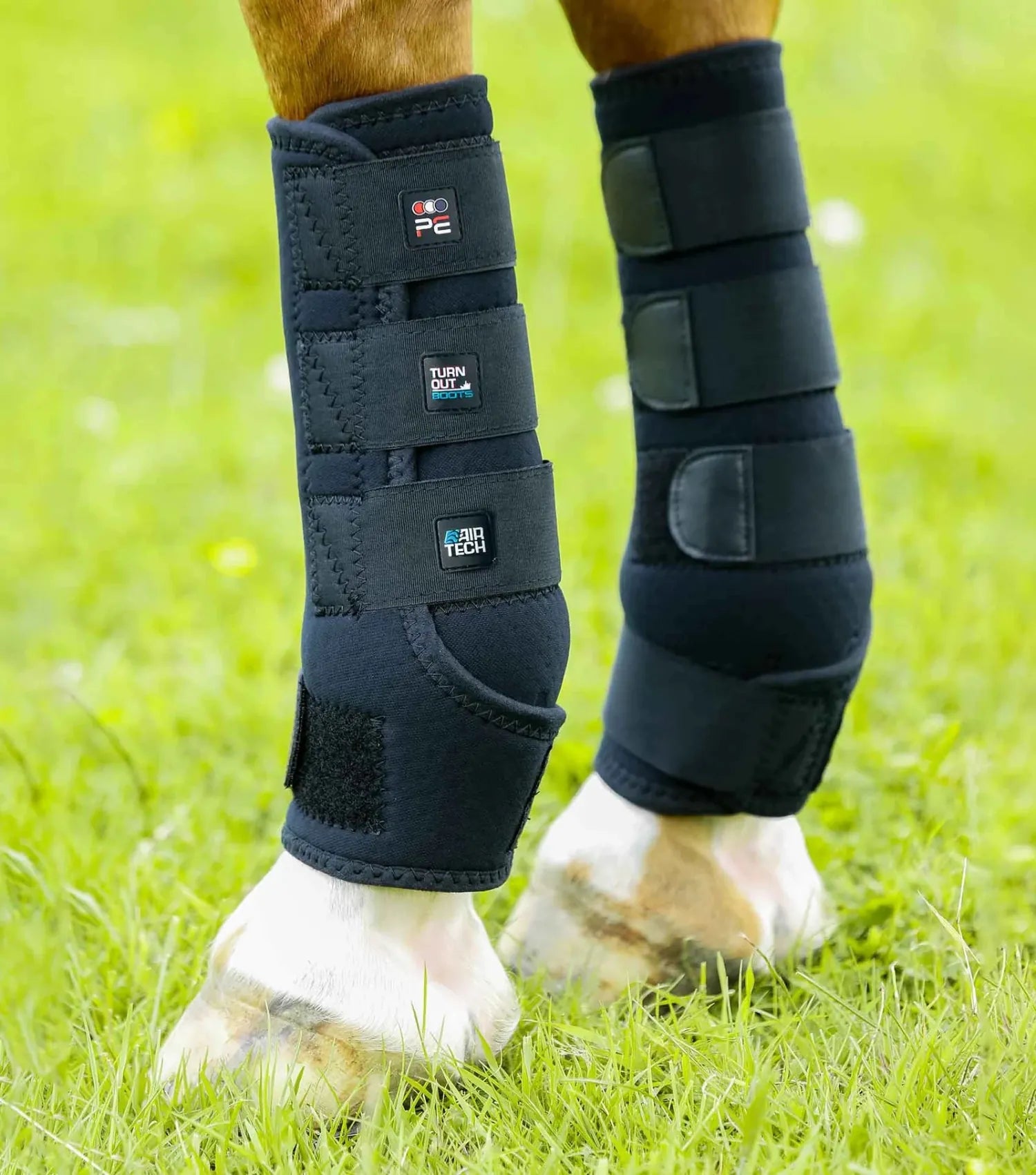 Premier Equine Horse Boots - Bandages Premier Equine Boots Turnout