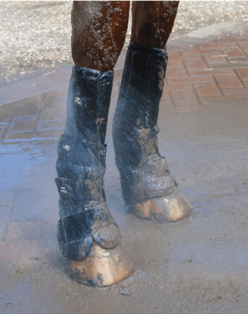 Premier Equine Horse Boots - Bandages XL / Black Premier Equine Boots Turnout/Mud Fever