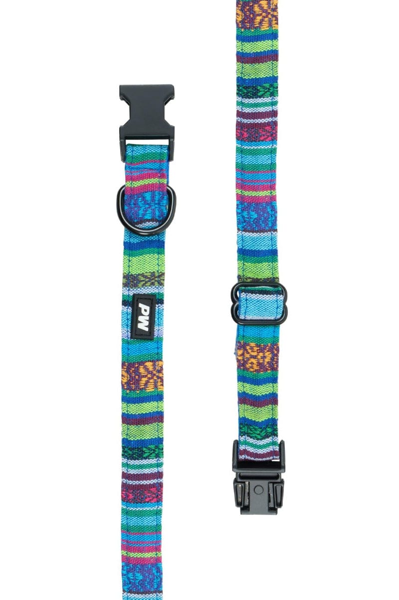 Pure Western Pet Accessories Pure Western Dog Collar Bowie