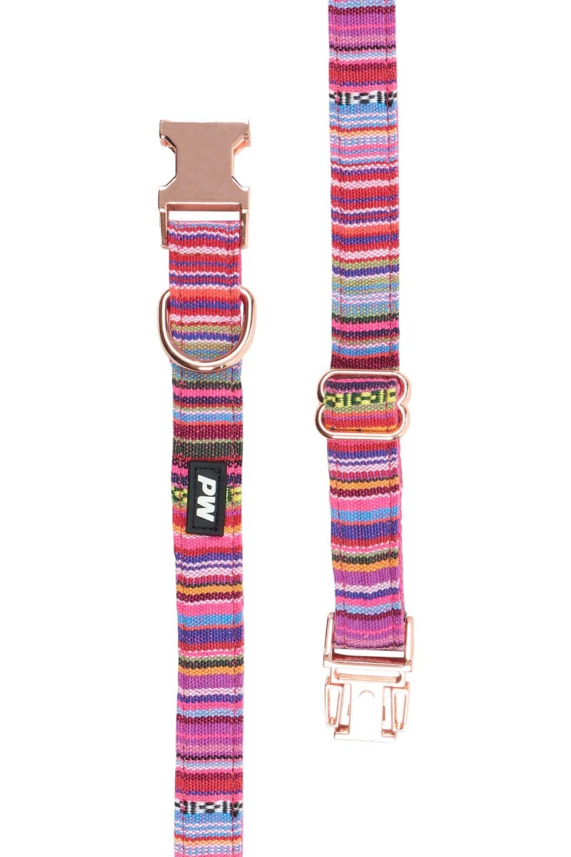 Pure Western Pet Accessories Pure Western Dog Collar Bowie