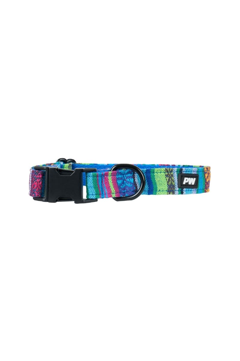 Pure Western Pet Accessories XS / Blue Pure Western Dog Collar Bowie