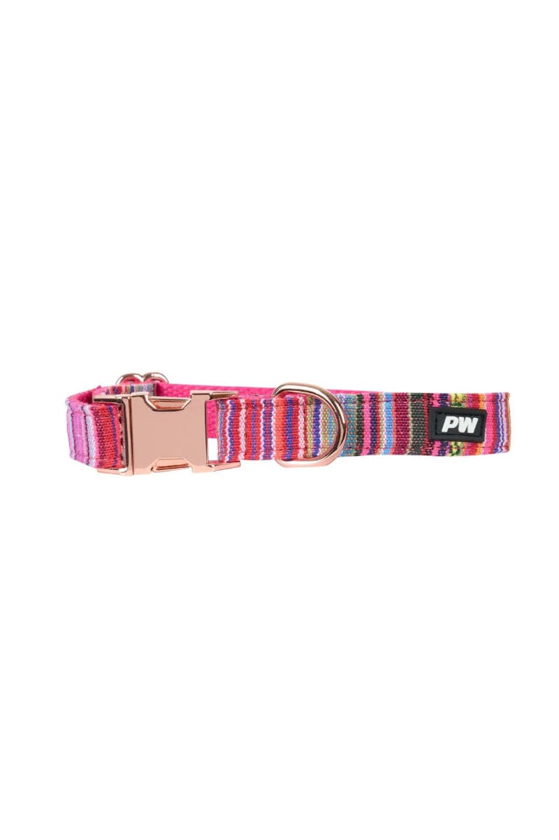 Pure Western Pet Accessories XS / Pink Pure Western Dog Collar Bowie