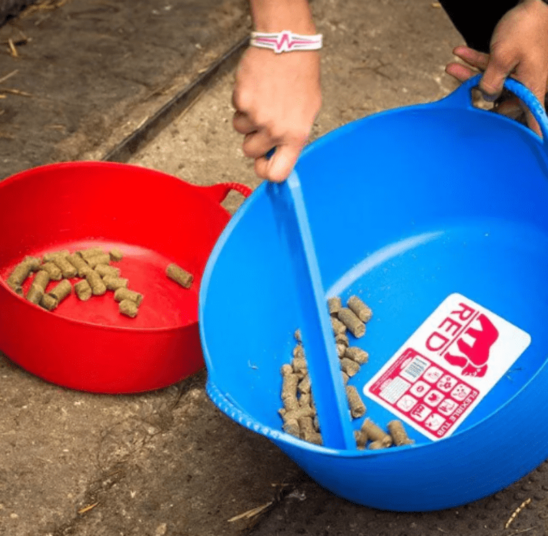 Red Gorilla Stable & Tack Room Accessories 35L / Blue Red Gorilla Shallow Tub (LOCAL PICK UP ONLY)