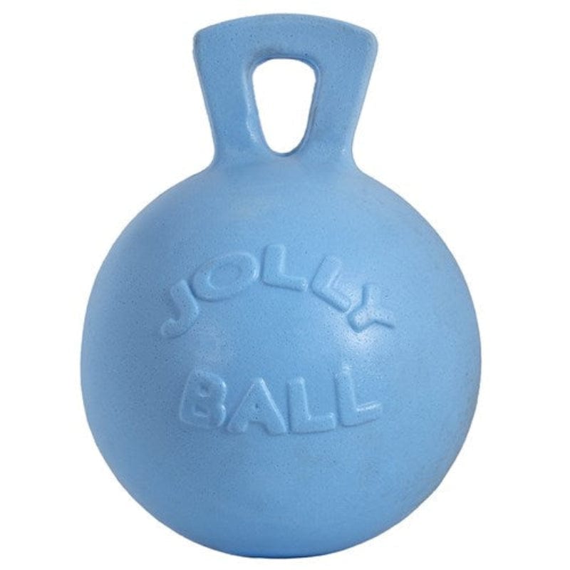 Saddlery Trading Company Stable & Tack Room Accessories 20cm / Blueberry Horse Toy Ball
