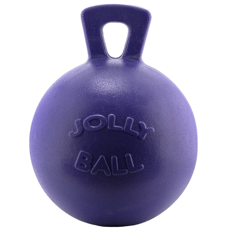 Saddlery Trading Company Stable - Tack Room Accessories 20cm / Purple Horse Toy Ball