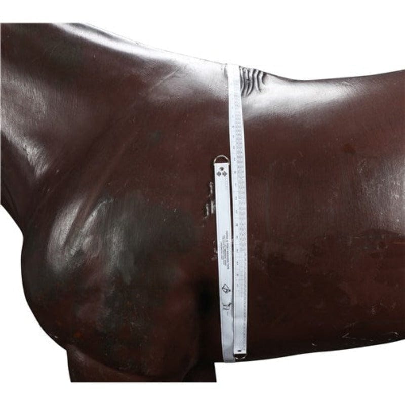 Saddlery Trading Company Stable & Tack Room Accessories Weighband for Horses (STB5095)