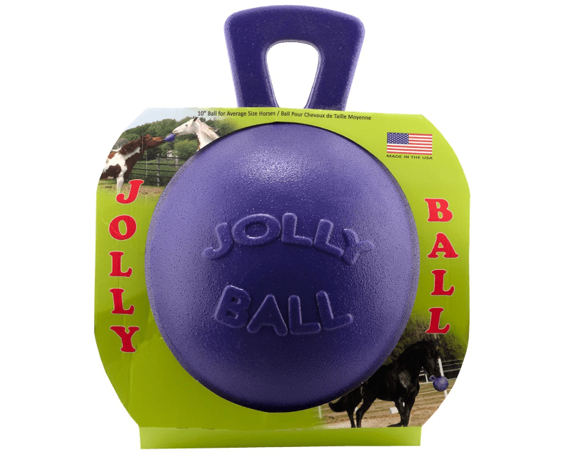 Saddlery Trading Stable & Tack Room Accessories 10in / Purple Jolly Ball 10inch