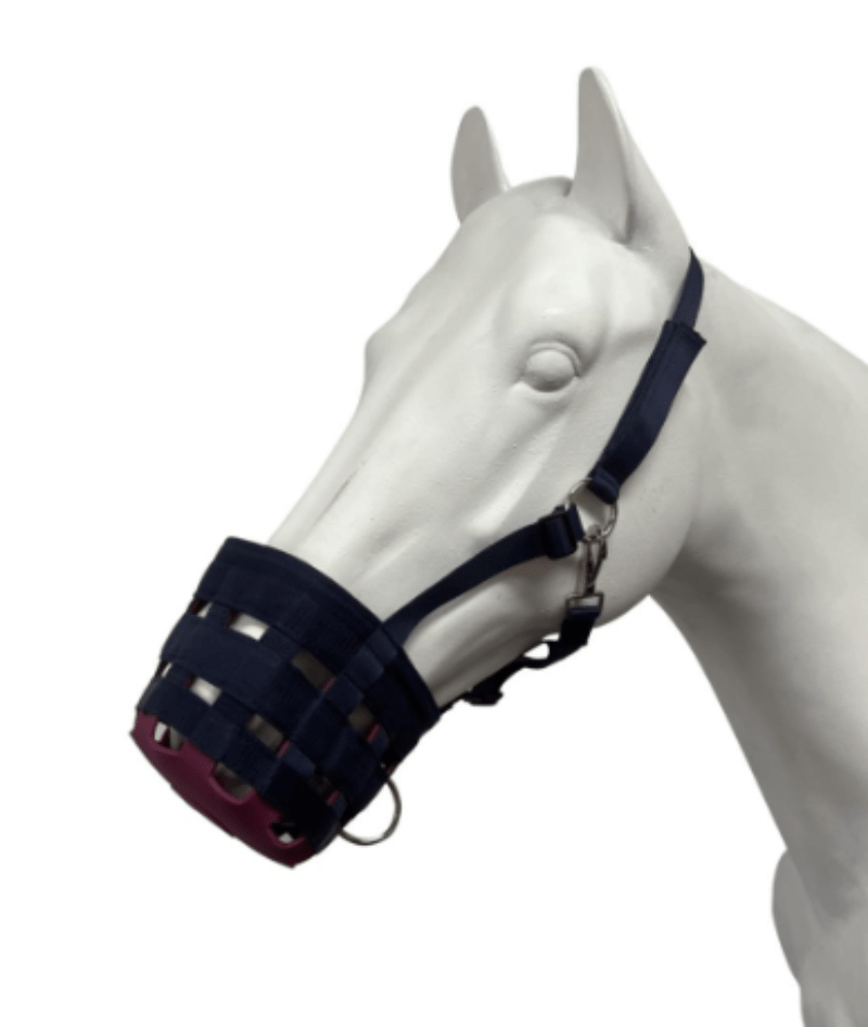 Showcraft Stable & Tack Room Accessories Cob / Navy/Rose Showcraft Grazing Muzzle