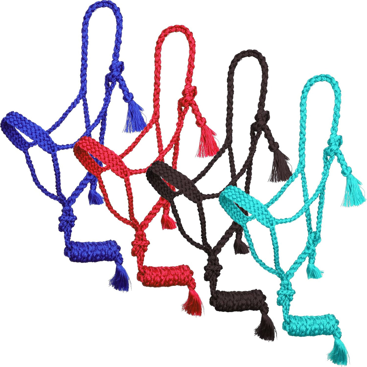 Showman Halters Cob/Full / Assorted Colours Showman Halter & Lead Set Mule Tape