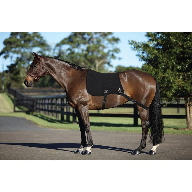 Showmaster Saddle Pads English Core Master Saddle Pad