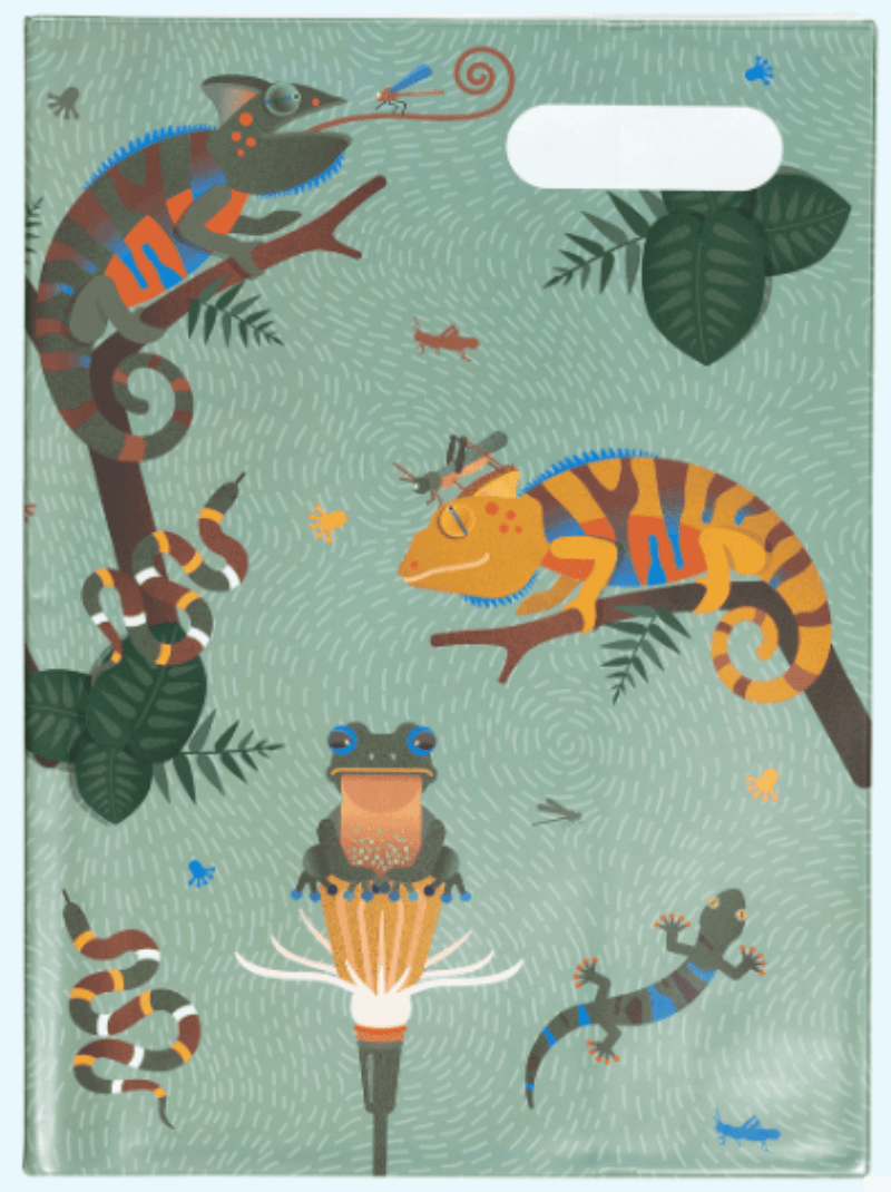 Spencil Back to School Spencil Scrapbook Covers Quirky Cameleon