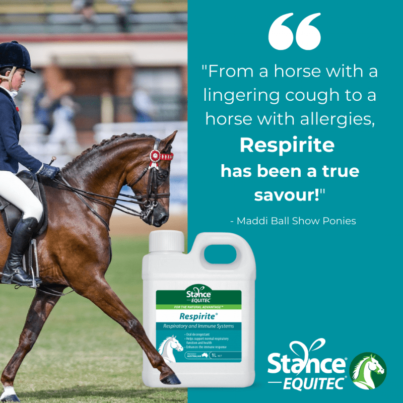 Stance Vet & Feed Stance Respirite