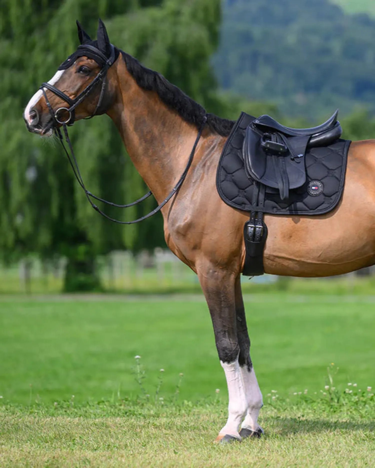 Tommy Hilfiger Saddle Pads English Full / Desert Sky Tommy Hilfiger Saddle Pad Emory Dressage