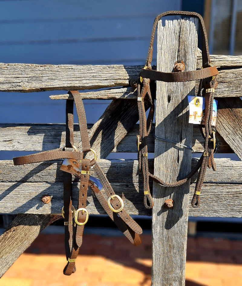 Top Rail Equine Bridles Top Rail Webbing Barcoo Bridle Brown NY-HS01