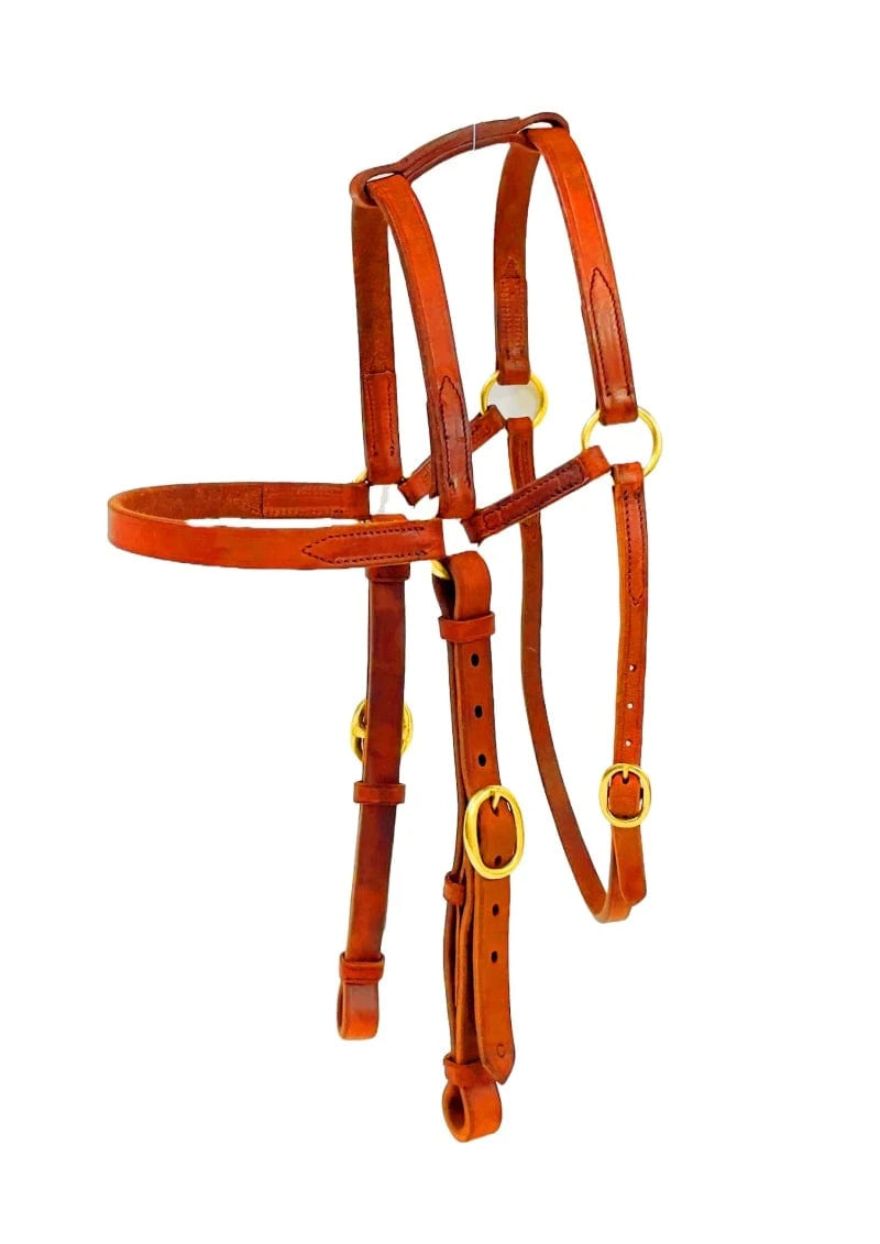 Toprail Bridles Cob/Full Toprail Windorah Extended Barcoo 3/4 Bridle