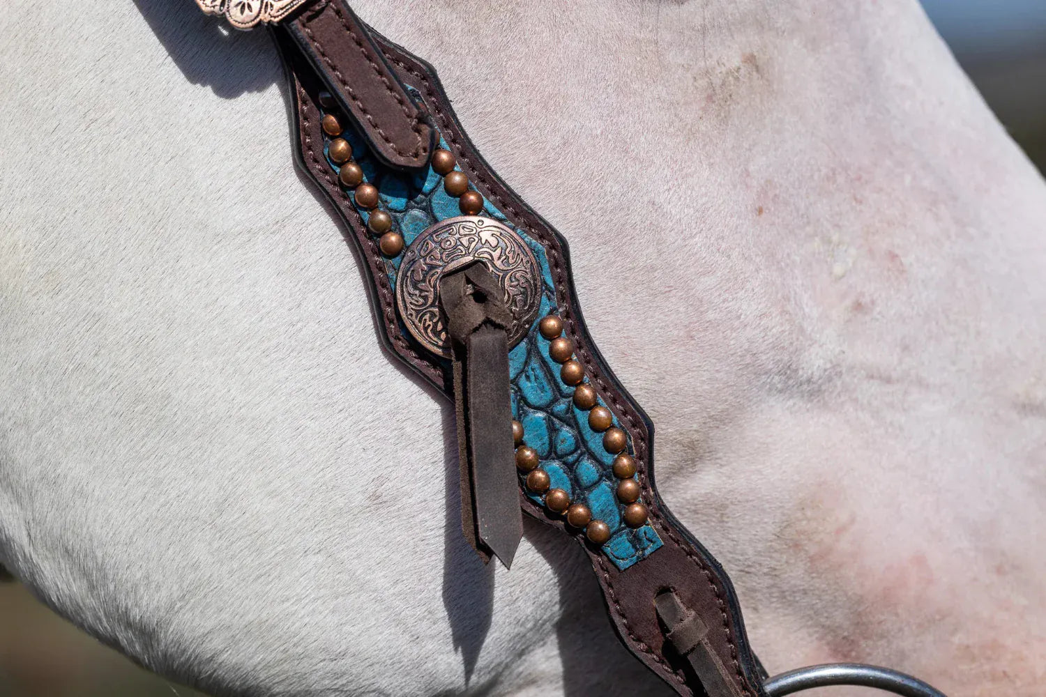 Toprail Equine Bridles Cob/Full Toprail Equine Bridle Dundee Turquoise Croc One Ear