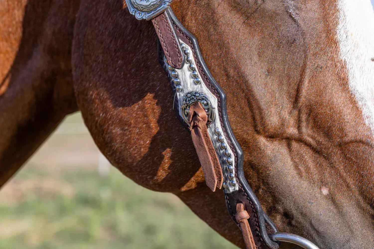 Toprail Equine Bridles Cob/Full Toprail Equine Bridle One Ear Lainey Cowhide