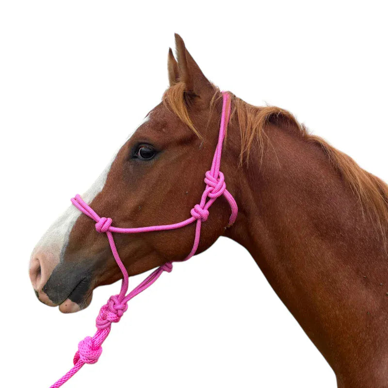 Toprail Equine Halters Pink Toprail Equine Halter & Lead Set Knotted