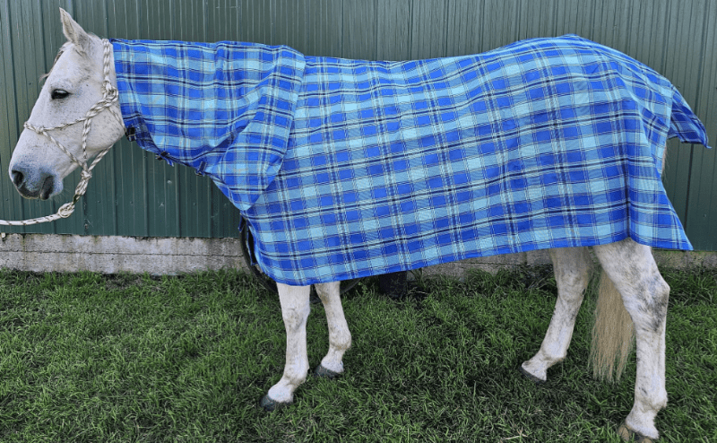 Toprail Equine Summer Horse Rugs 6ft0 / Blue Toprail Equine Comb PVC Shadecloth