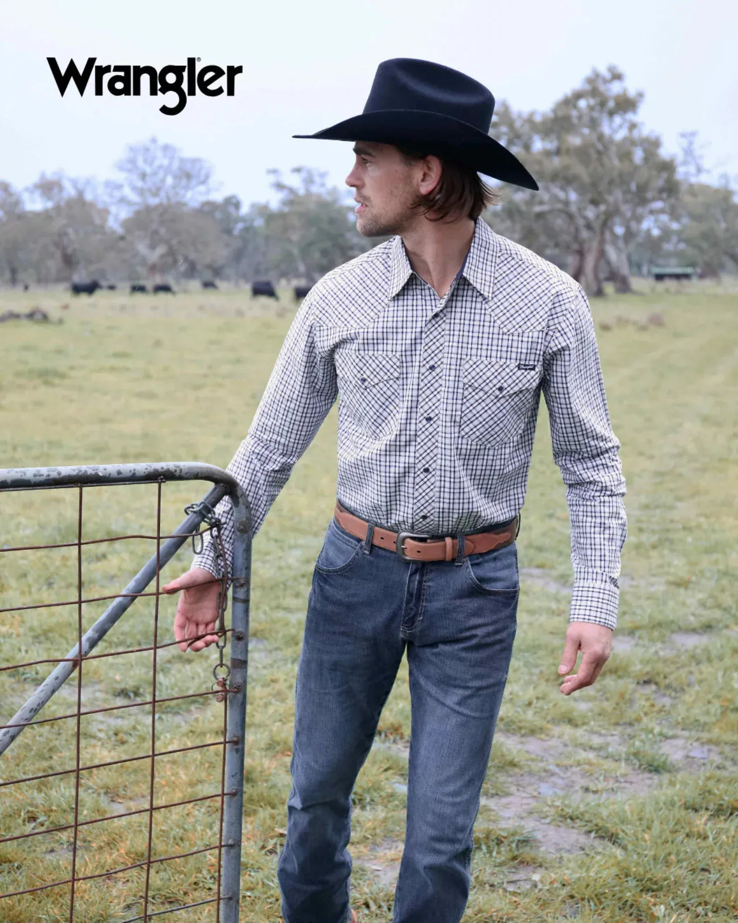 Wrangler Mens Belts Wrangler Belt Mens Jonas