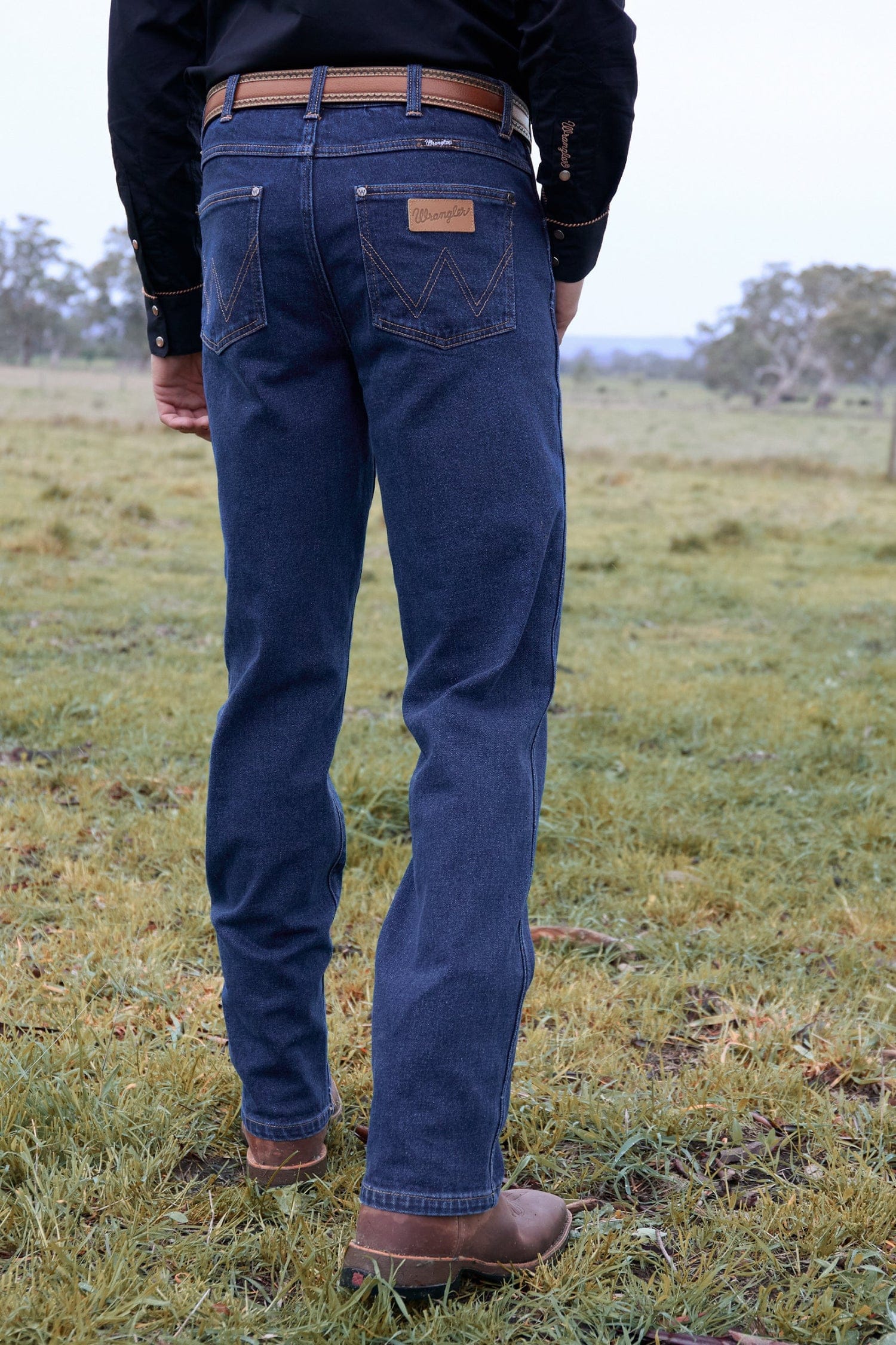 Wrangler Mens Jeans Wrangler Jeans Mens Regular Straight Leg
