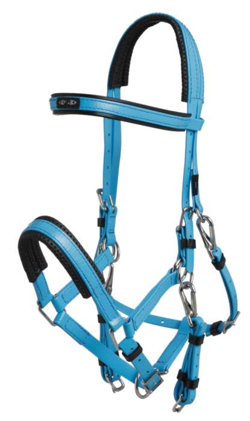 Zilco Bridles Arab / Cyan Blue Zilco Bridle Marathon