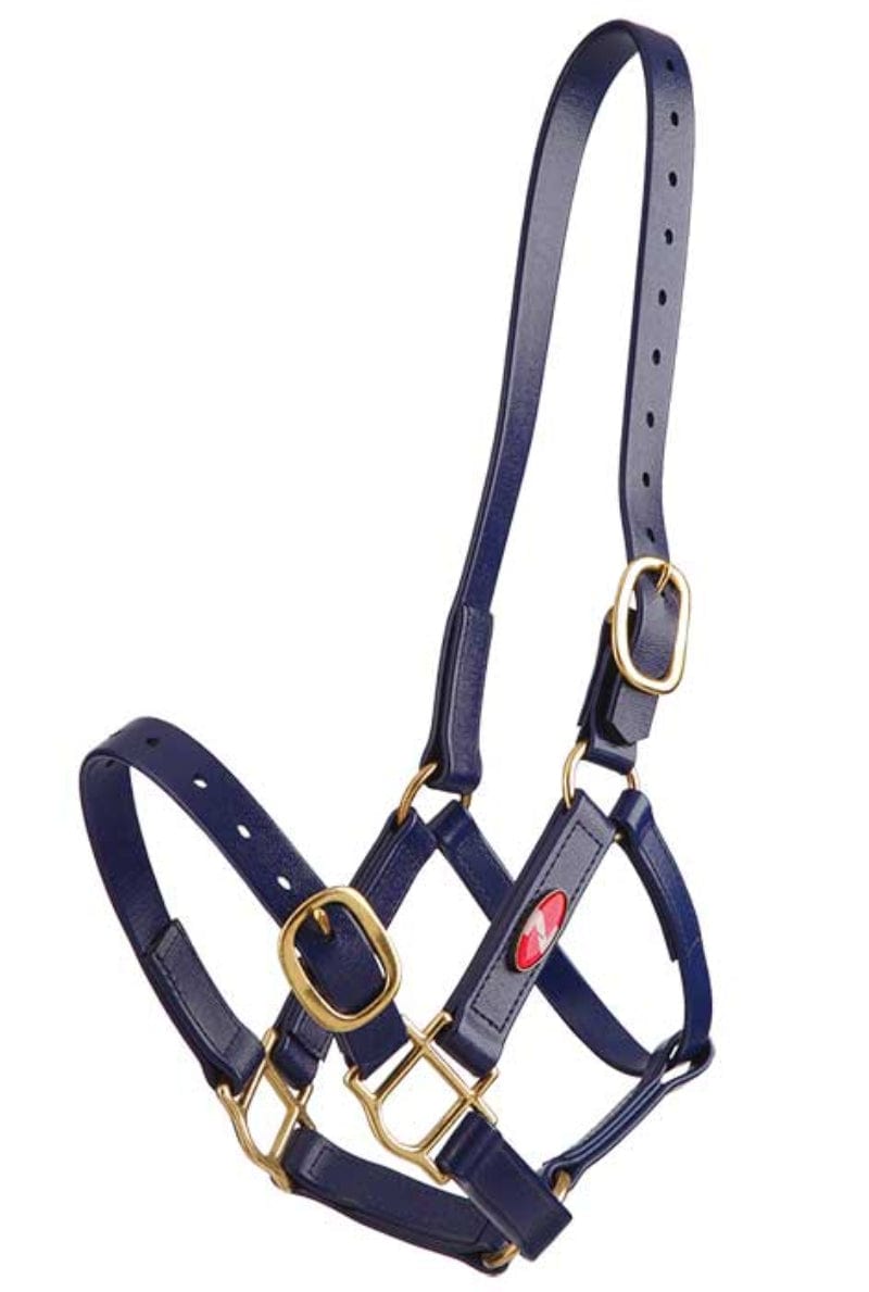 Zilco Halters Cob / Blue Zilco Synthetic PN Halter
