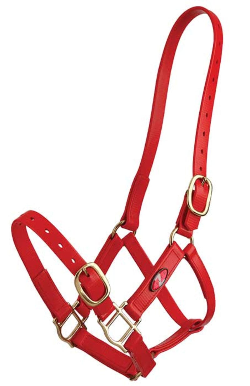 Zilco Halters Cob / Red Zilco Synthetic PN Halter