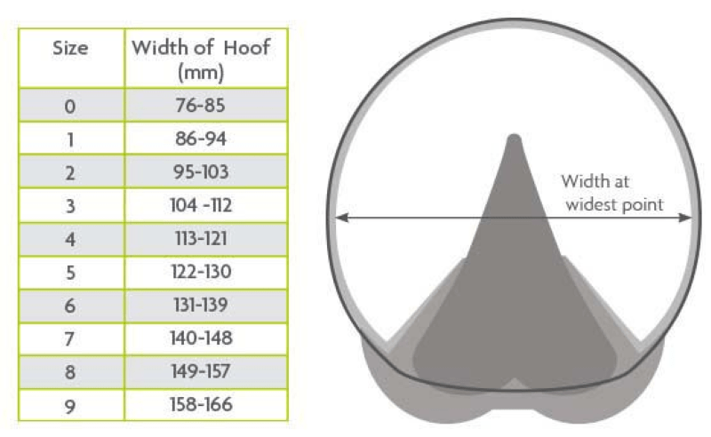 Zilco Horse Boots & Bandages WW Medical Hoof Boot