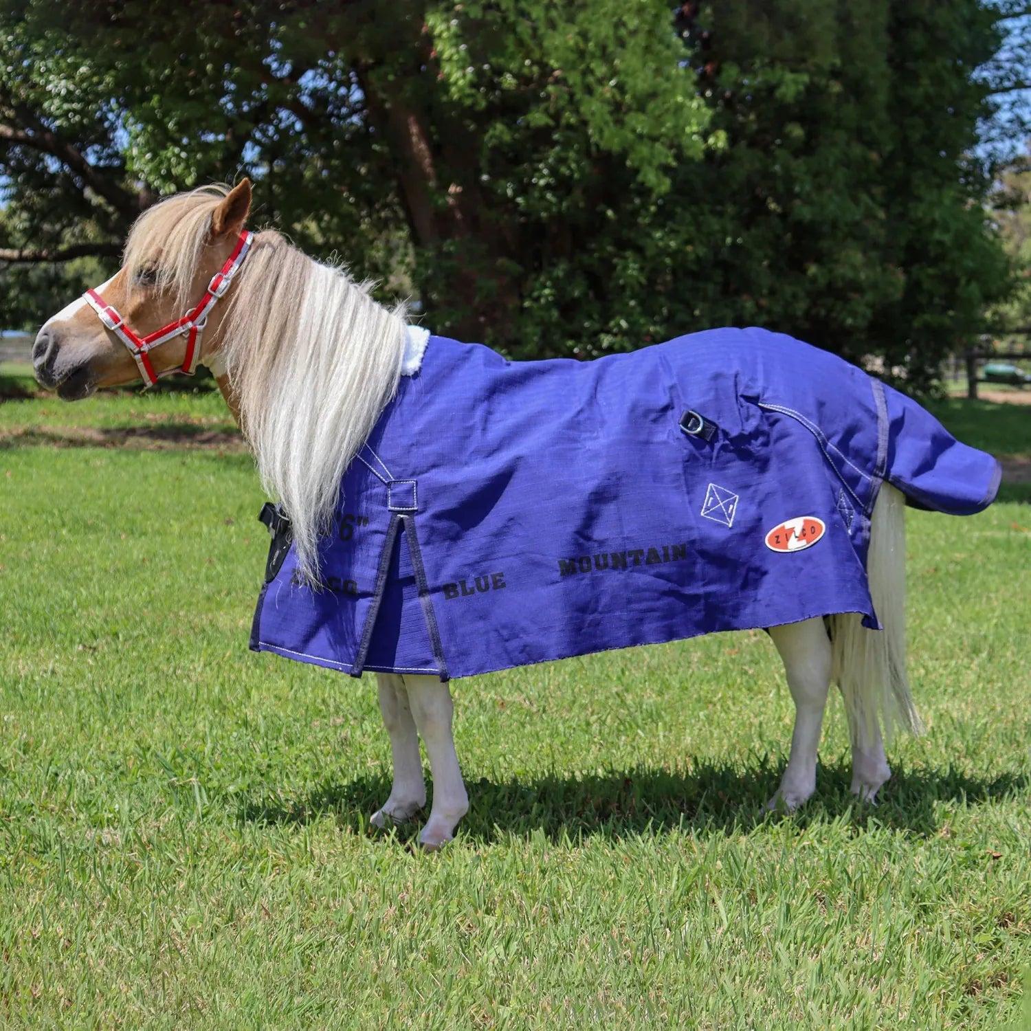 Zilco Winter Horse Rugs 3ft3 Zilco Mini Mountain Rug