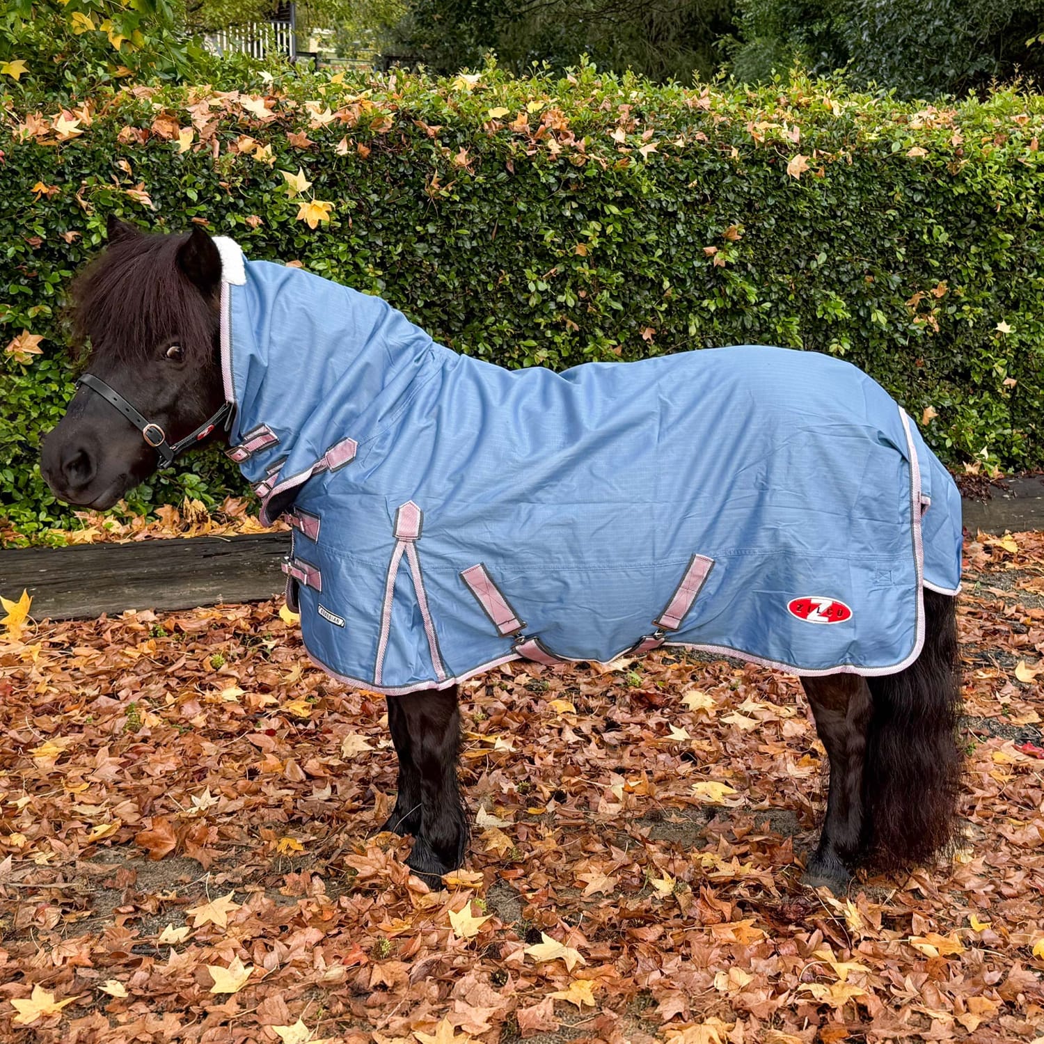 Zilco Winter Horse Rugs Zilco Combo Guardian Mini