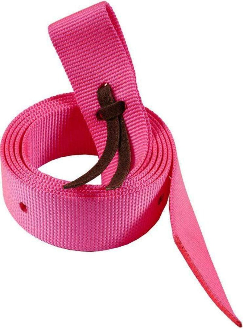 Ezy Ride Girth Accessories Pink Ezy Ride Plain Nylon Latigo (Nearside)