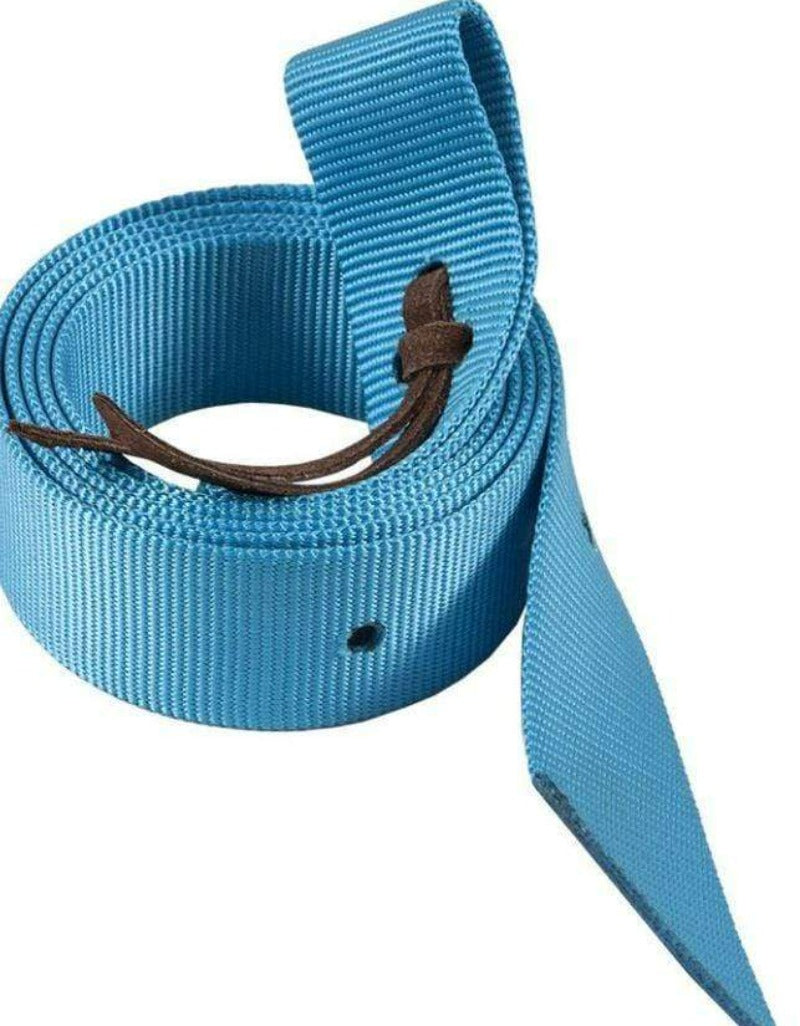 Ezy Ride Girth Accessories Turquoise Ezy Ride Plain Nylon Latigo (Nearside)