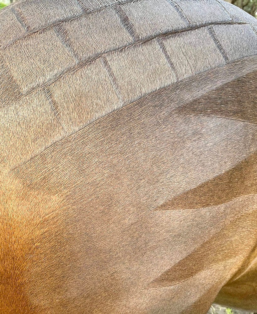 Gympie Saddleworld & Country Clothing Vet & Feed Nags to Riches Ultimate Marker Comb (NTRUMC)