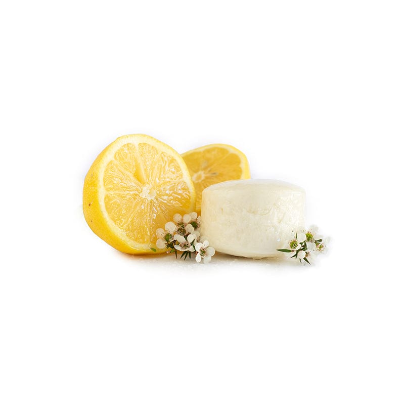 Hairy Pony Vet & Feed Hairy Pony Original Shampoo Bar (SHBTLMON)