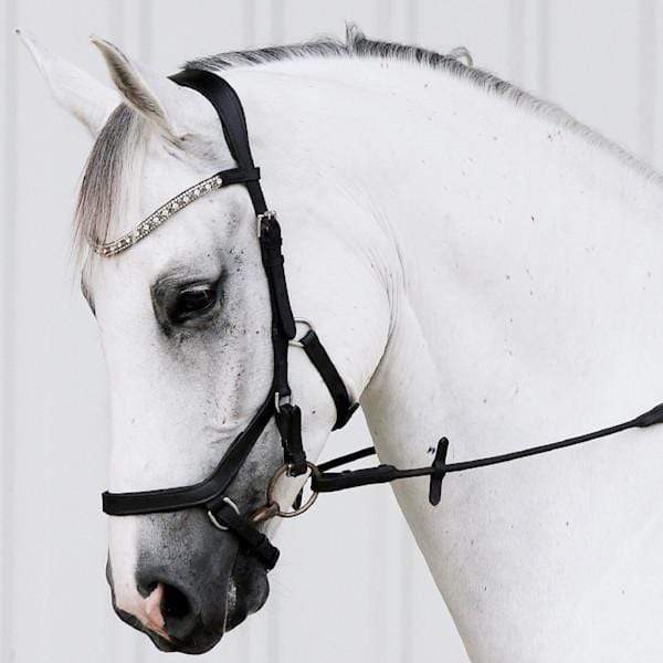 Lumiere Bridles Cob Lumiere Azure Micklem Bridle (L29GROUP)