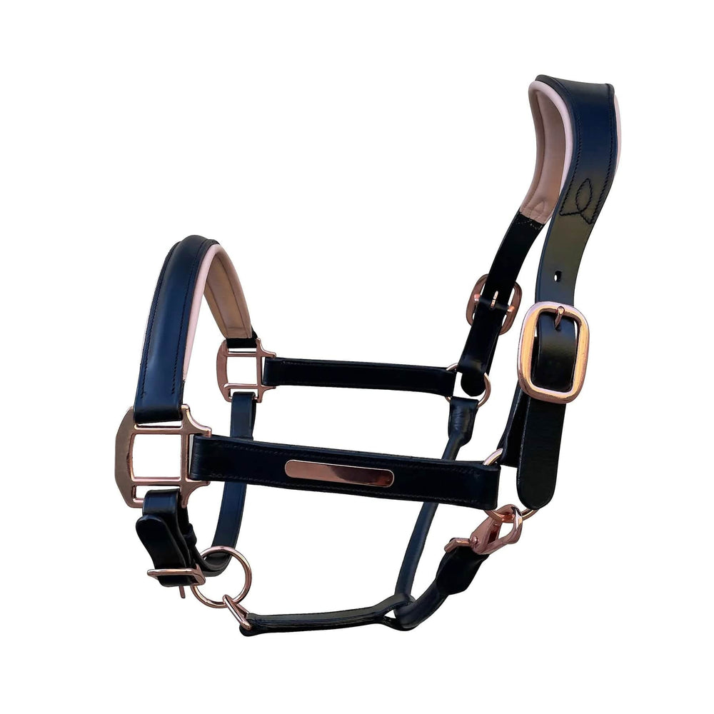 Lumiere Halters Lumiere Hollywood Leather Halter (L22202)