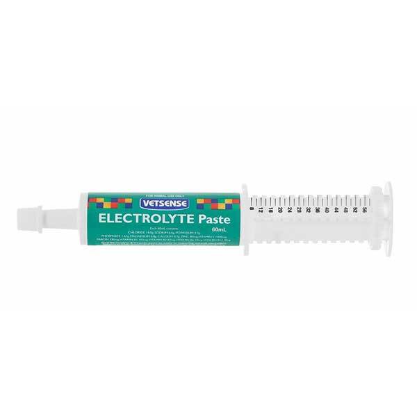 Vetsense Vet & Feed 60ml Vetsense Electrolyte Paste