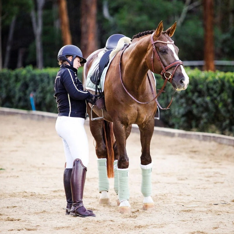 The Perfect Christmas Gift for Equestrians: The Arabella Leather Bridle